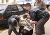 Задержание пикетчицы. Кадр Грани-ТВ Задержание пикетчицы. Кадр Грани-ТВ