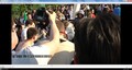 Сутолока продолжается